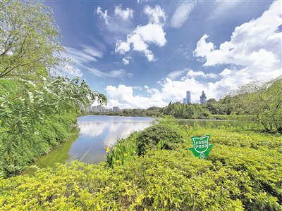 生机盎然的观山湖公园。 帅弋 摄