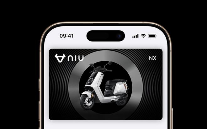 图源：小牛