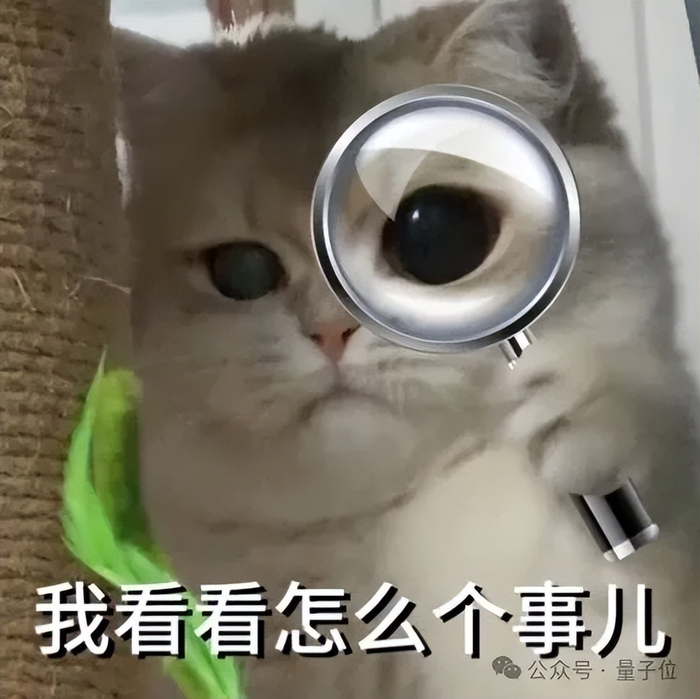 时钟拨回到奥特曼正式被裁前十分钟，Mira紧急致电了微软CEO纳德拉，告知了他们这一消息。