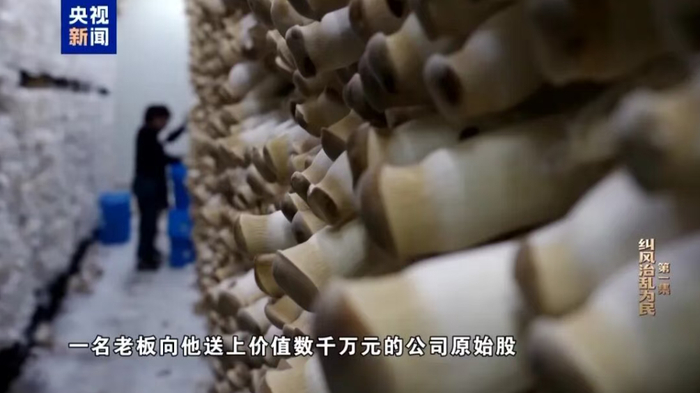 （图源：央视新闻）