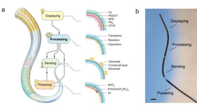 在单根纤维上实现多功能一体化集成的示意图和实物照片
