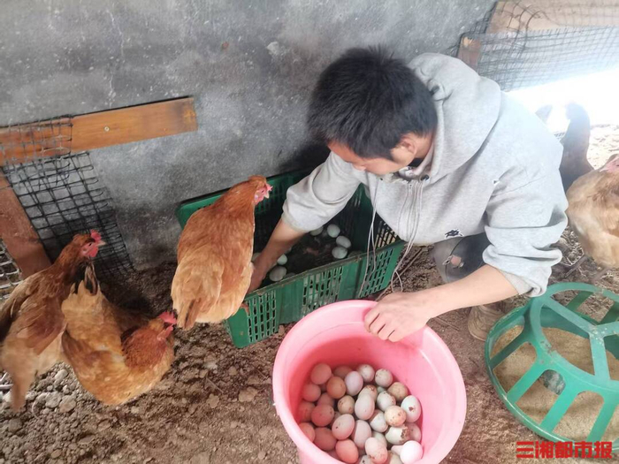 宁乡市清泉阳光残疾人托养服务中心养殖场内，残友正在喂鸡。（受访者供图）