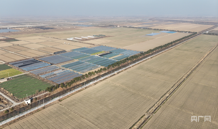 南圩路沿线的标准农田（央广网发  安徽建工路桥供图）