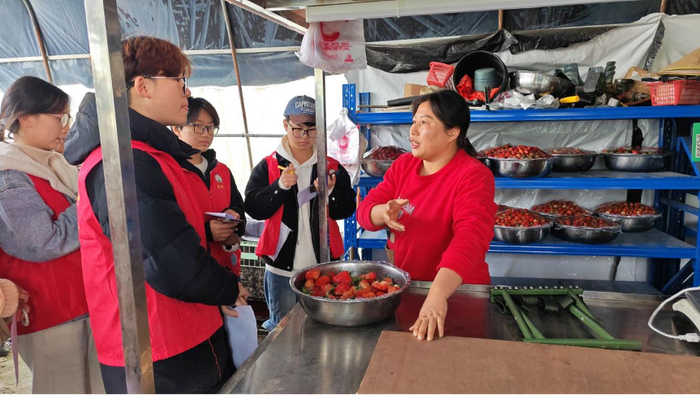 图注:队员与草莓培育基地负责人交谈。梁開彦 供图