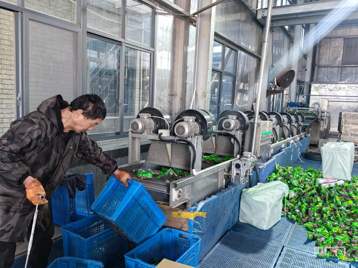 峰味园食品生产车间（央广网记者  张琳琳  摄）