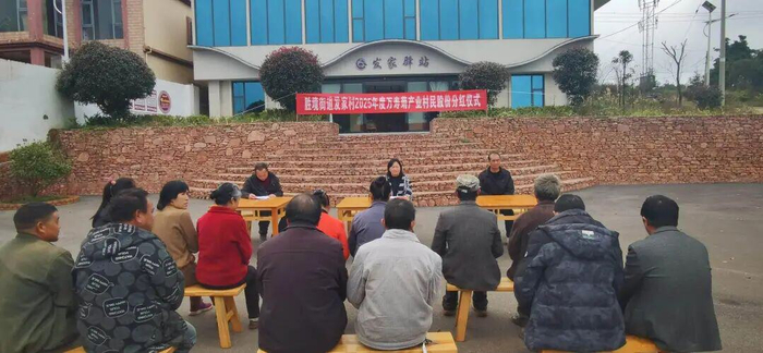 分红仪式现场。图源：蒙自融媒