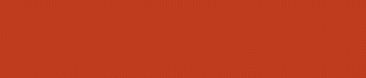 “浙江广厦荣获浙江省首个CBA总冠军”——被写入省政府工作报告