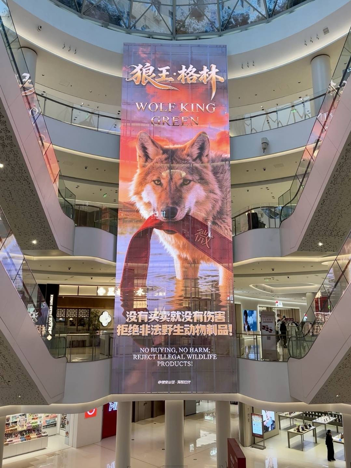 商丘正弘汇商场发布格林相关海报 图据商丘正弘汇