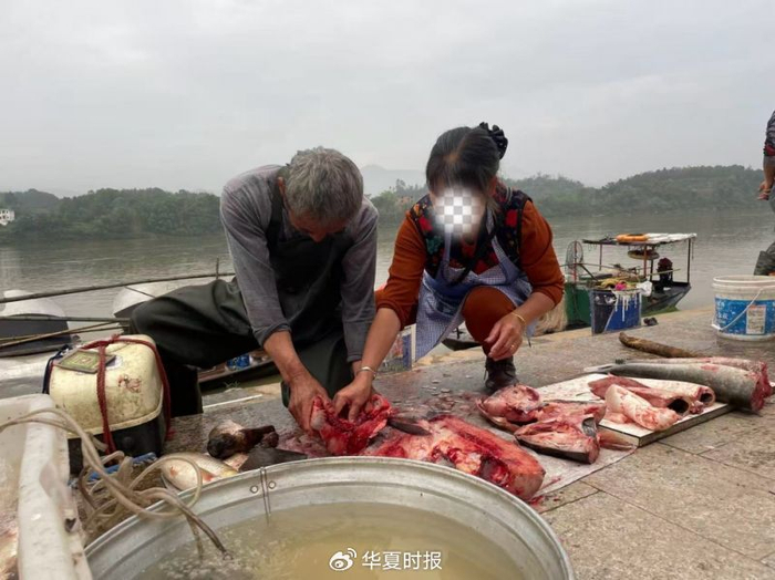 两位老人在江边卖鱼，其中一位腿脚有些不便