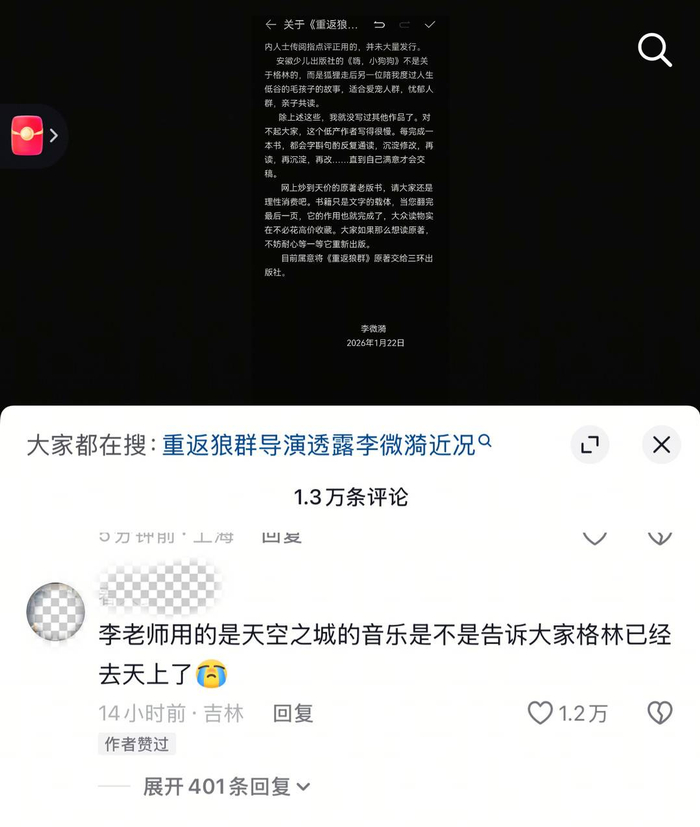 李微漪点赞网友评论 图据李微漪社交媒体账号截图
