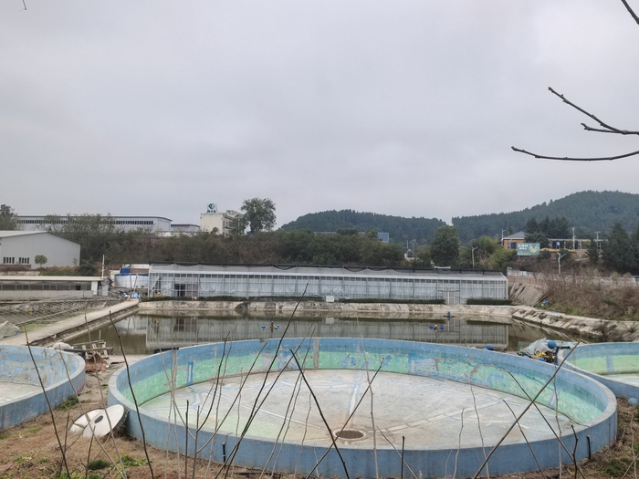 孙郡基地入口处的圆形鱼池。