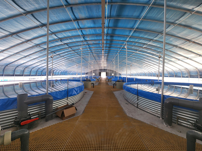 一名受访养殖户修建的工厂化基地，希望提升鲈鱼养殖效益。