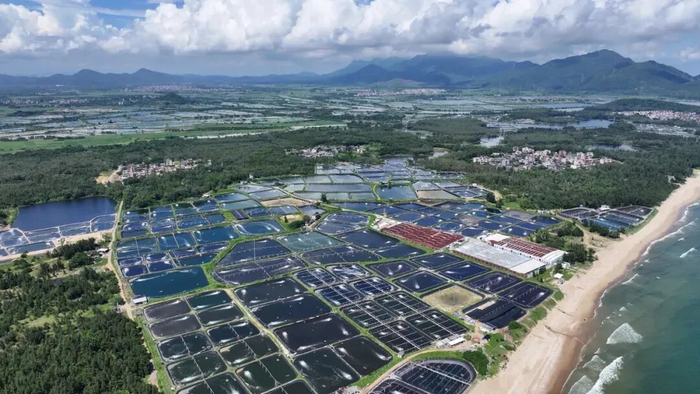资料图 陈宏侃 摄