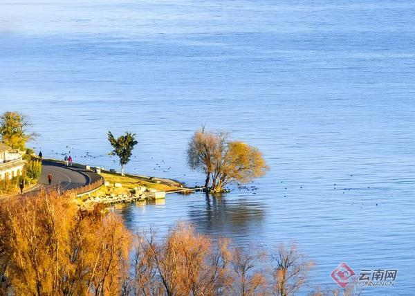 苍山洱海间如画美景 杨继培 摄