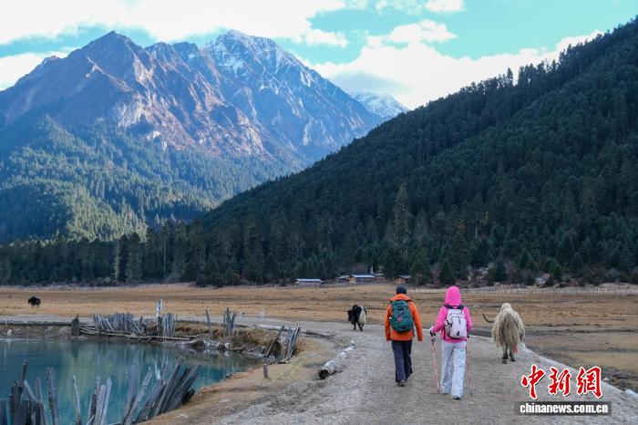  2025年11月9日清晨，徒步爱好者在西藏林芝巴松措以东30公里的新措体验高原徒步。　中新社记者 江飞波 摄