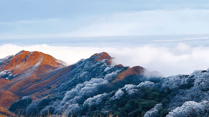 　　在全州天湖风景区，山峦裹上银装，云海翻涌间，橙红崖壁与琼枝相映，凛冬里藏着壮美的诗意。（全州县纪委监委供　谢永欣/摄）