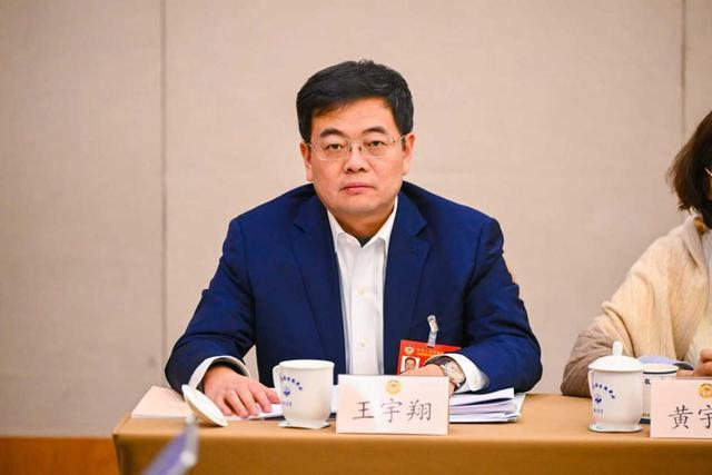 市政协委员、航天宏图信息技术股份有限公司董事长王宇翔。受访者供图