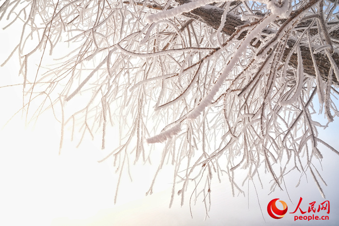 吉林雾凇景观。人民网记者李洋摄