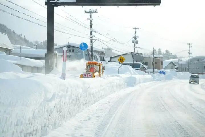 网友“七七”摄于青森，来源：都市快报