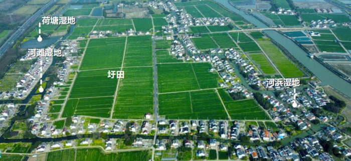 金山枫泾新元风貌单元。