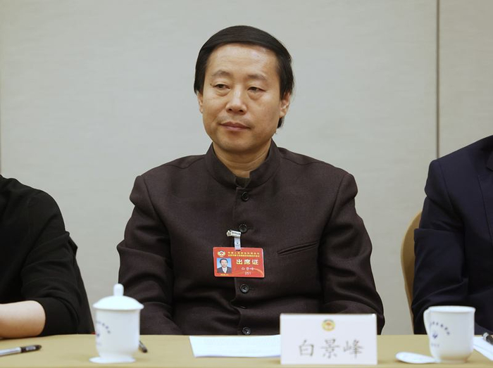 北京市政协委员、人民画报书画院执行院长白景峰。新京报记者 王贵彬 摄