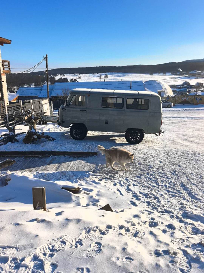 ▲当地常见的“小钢炮”车 图据受访者