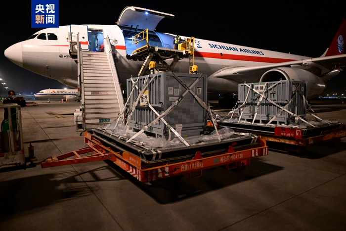 旅日大熊猫“晓晓”“蕾蕾”抵达成都