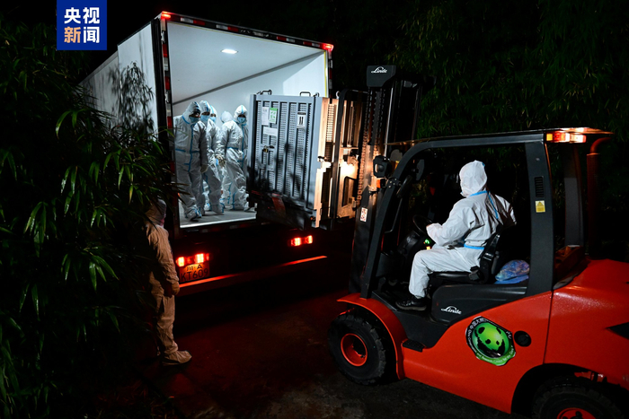 旅日大熊猫“晓晓”“蕾蕾”抵达熊猫中心雅安基地
