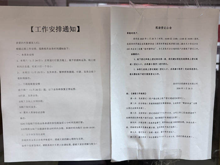  杨子晏 摄 