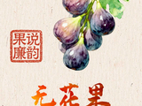 “果说”廉韵丨无花果：无华藏真 廉心守正