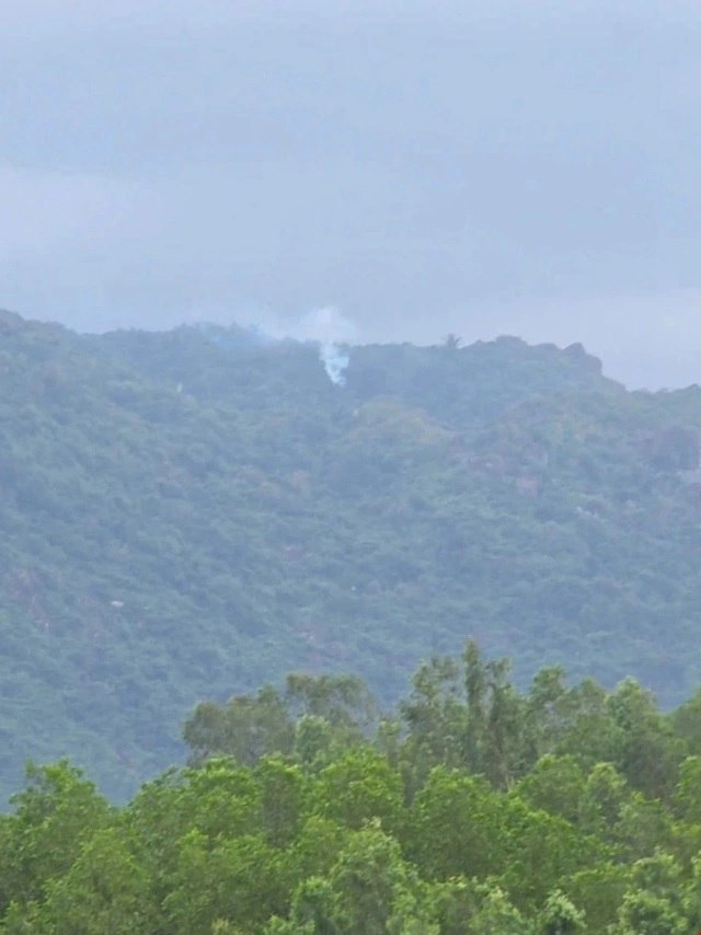 坠机地点附近拍摄的照片