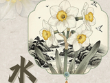 花寄廉语丨水仙花：凌波玉立 一尘不染