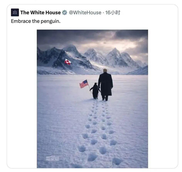 白宫发布“特朗普和企鹅漫步格陵兰岛”图。图源：网络