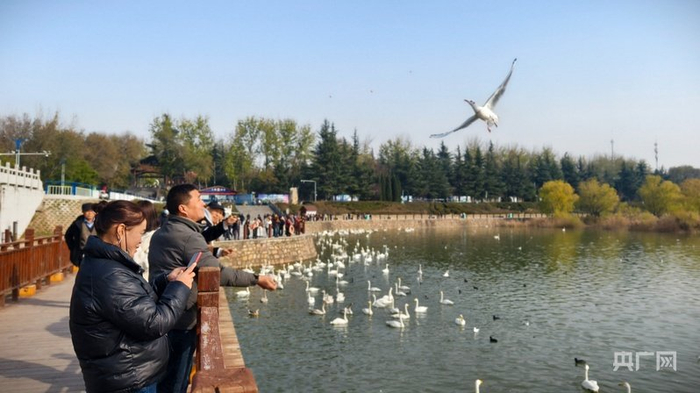 游客在三门峡天鹅湖国家城市湿地公园游玩（央广网记者 郝振青 摄）