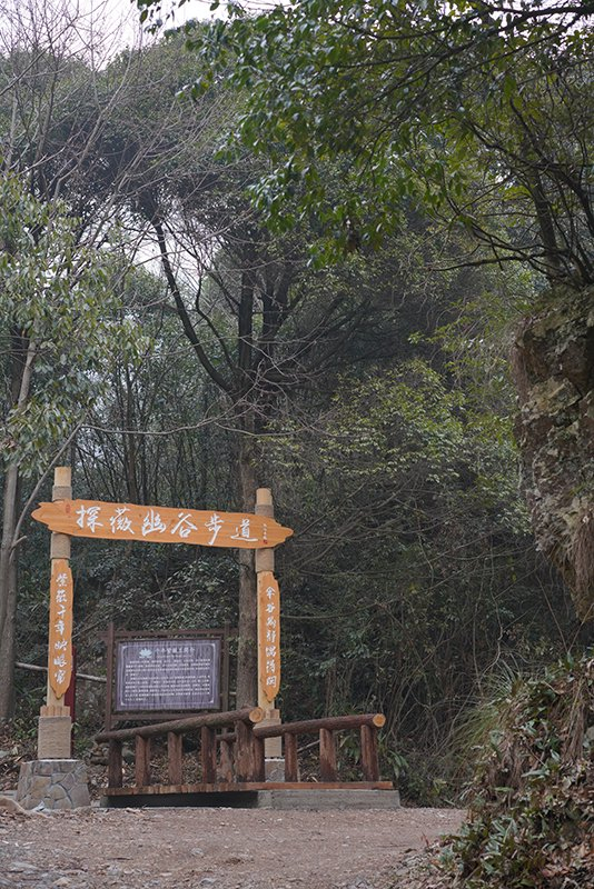 新建成的“紫薇王”景区步道。四和村驻村工作队供图