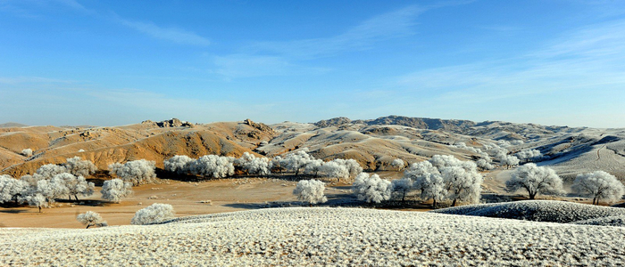 《苍原雾凇》 秦文秀 摄