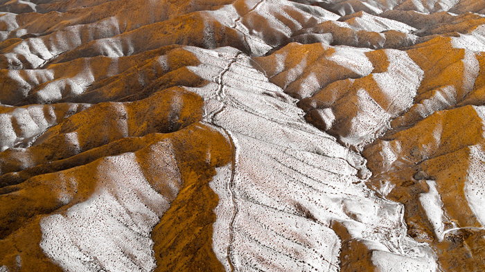 《大地笔触》 杨明 摄