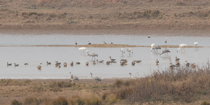 （图片由受访者提供）