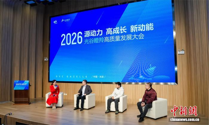 图为会议现场。　主办方供图