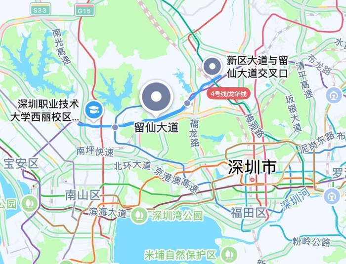 留仙大道（图源：高德地图截图）