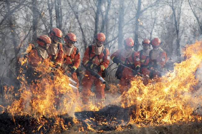 系统整合，锻造全域救援“硬实力”