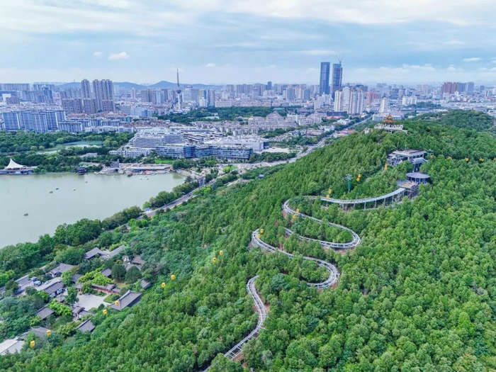 头马奋蹄，自有群马相随，区域中心城市的担当，首见于坚实有力的产业协作。