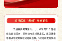 数说2025丨贵州正风肃纪反腐