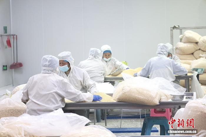  山东鑫诺食品科技有限公司的蒜制品生产车间。周艺伟 摄