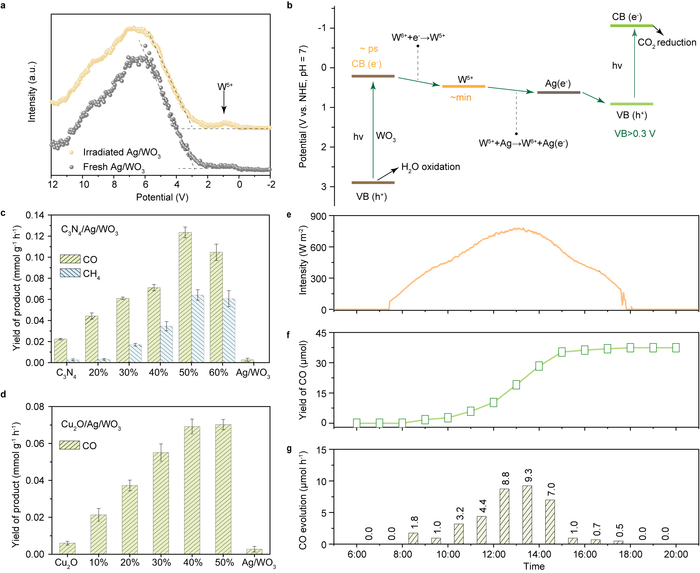 △图2 电子存储方案通用性与实用潜力的验证结果