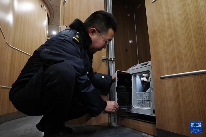 2月1日，中铁快运兰州西站营业部工作人员孙谦在高铁列车开车前检查宠物情况。新华社记者 陈斌 摄