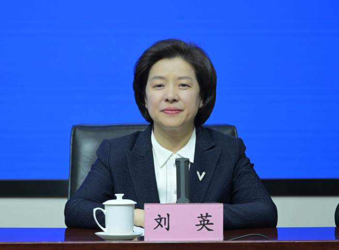 社会保障司副司长刘英 