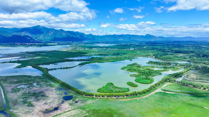 北京野鸭湖国家湿地公园。国家林草局供图