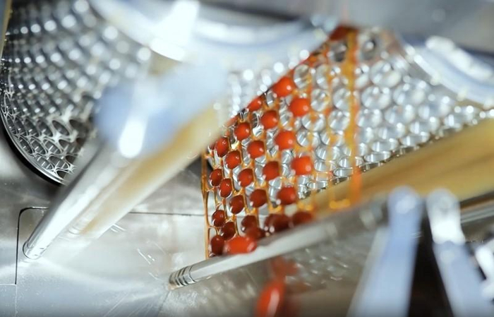 未来蓝图：从磷虾产业跟跑到国际领跑