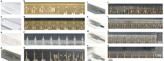 （来源：Nature Biomedical Engineering）